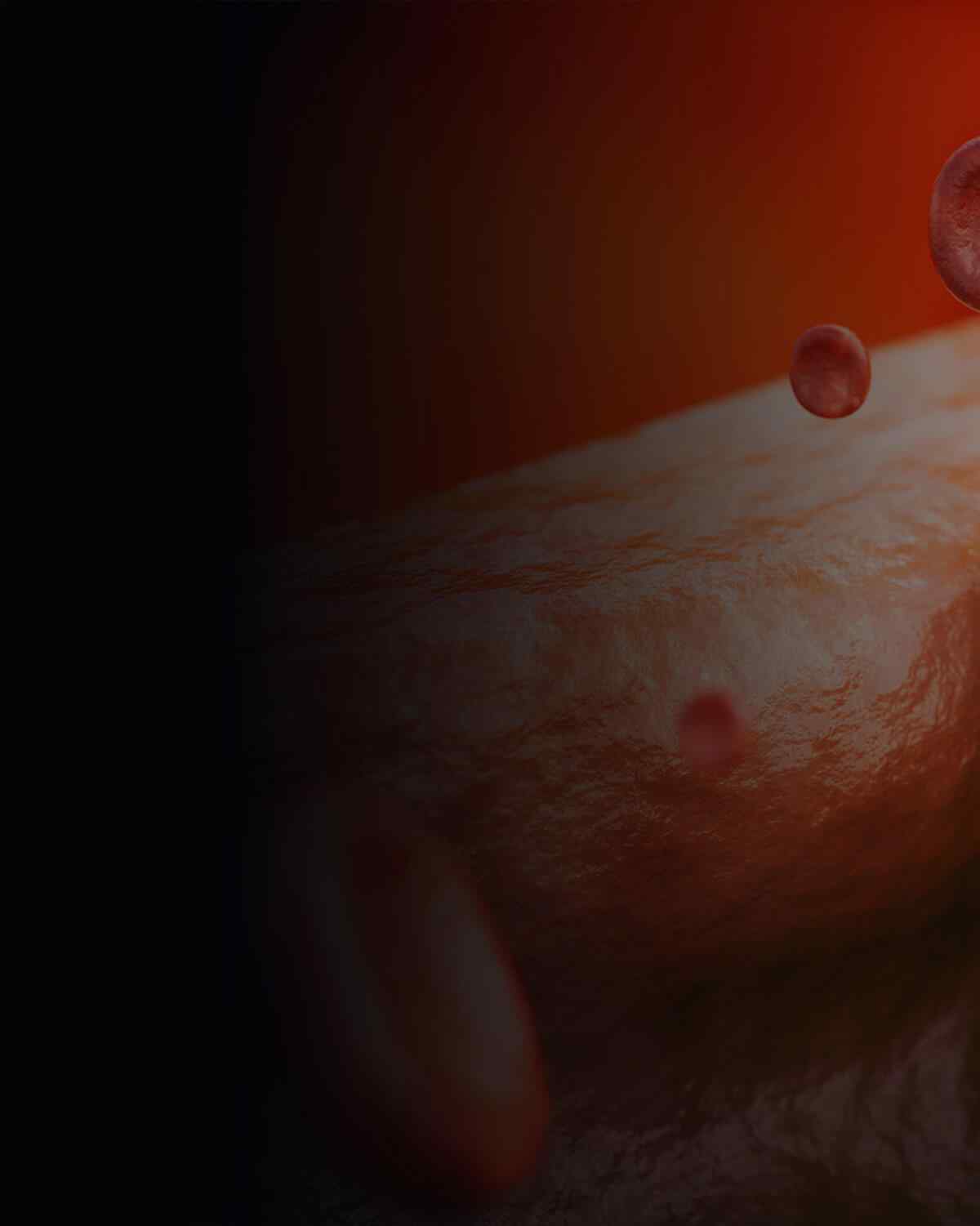 https://centrodeortopedia.org/wp-content/uploads/2021/08/interactive_image_left.jpg