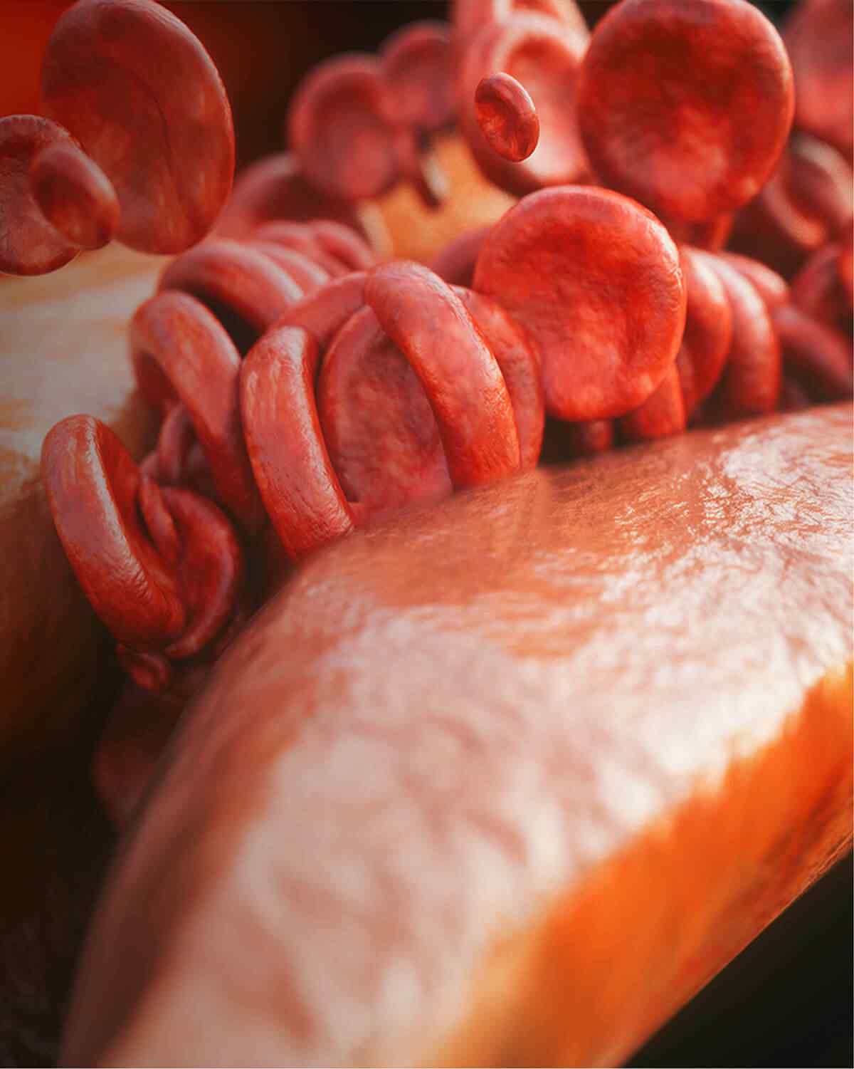 https://centrodeortopedia.org/wp-content/uploads/2021/08/interactive_image_right.jpg