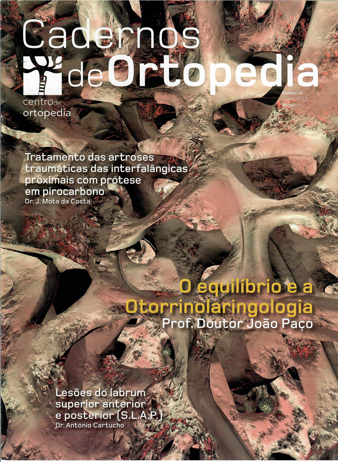 Cadernos de Ortopedia Nr08